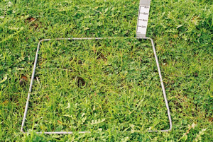 900 FOO mixed winter