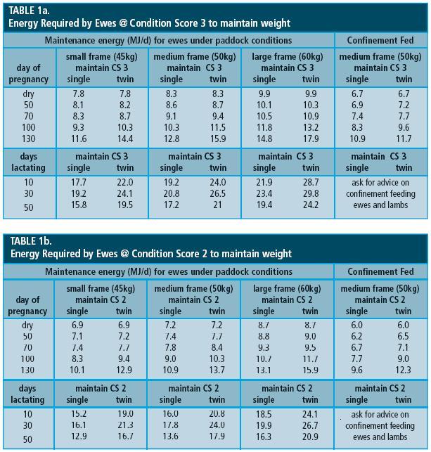 Sheep Feeding Chart