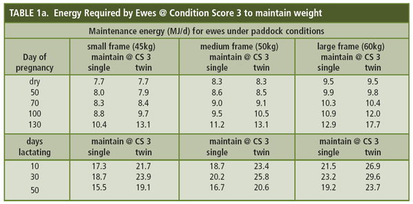 maintain @ condition score 3