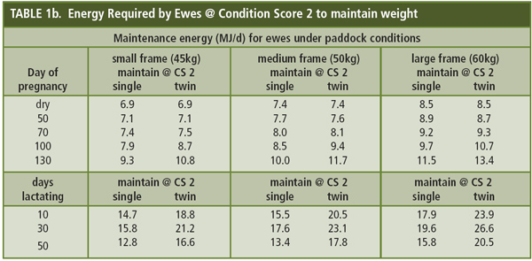 maintain @ condition score 2