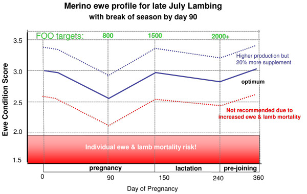 Profile for July lambing