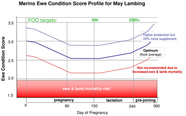 profile for May lambing