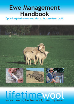 ewe management handbook