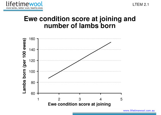 conception rate