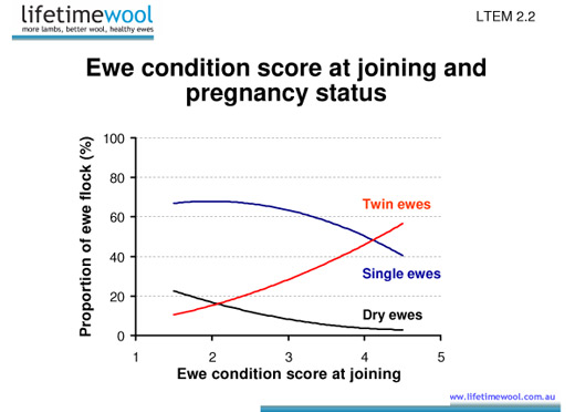 proportion of singles & twins