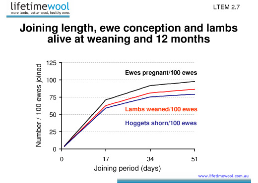 lambs weaned per ewe scanned