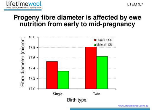 Progeny FD from late pregnancy