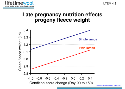 Progeny CFW from late pregnancy