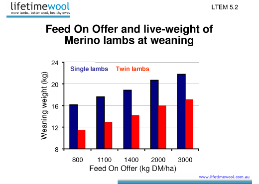 Weaning and FOO