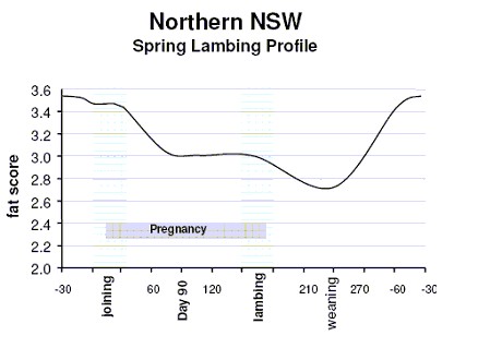 northern NSW profile