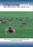 Lifetimewool - A short report on the value of the lifetimewool project