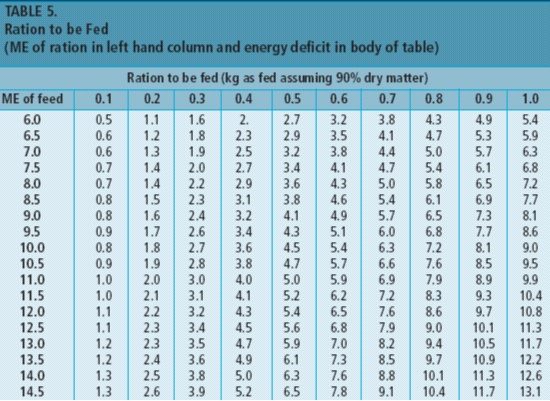 feed out rates